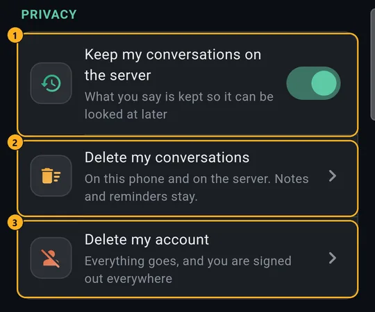 Settings, Privacy: keep my conversations, delete my conversations, delete my account